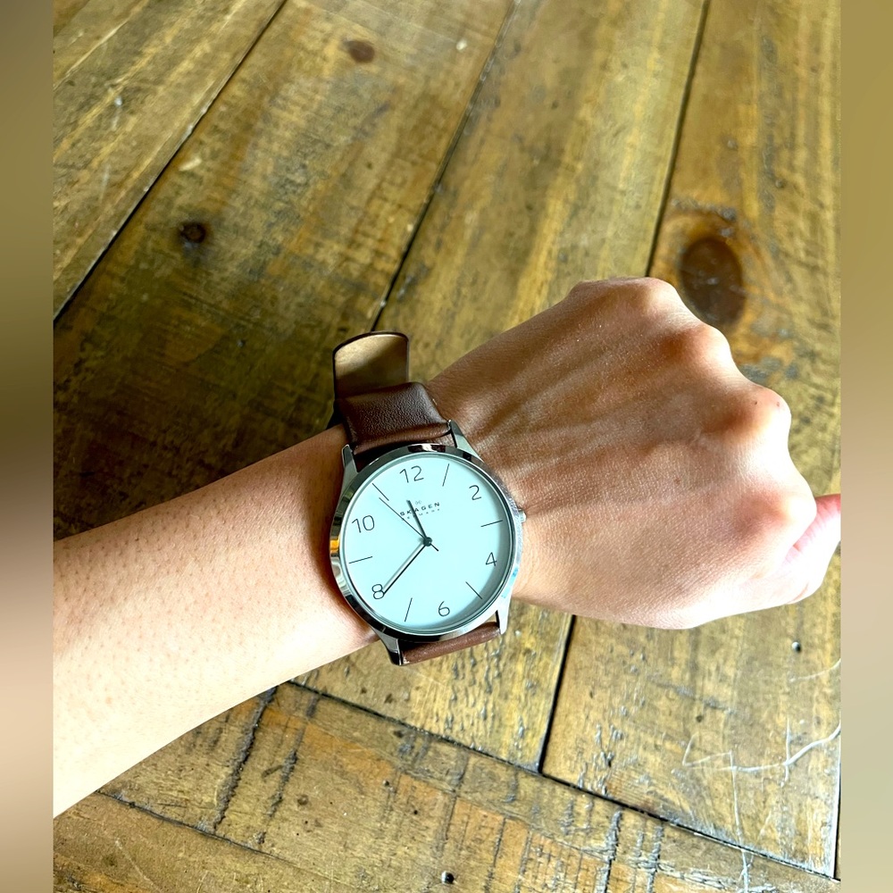 Men’s Brown Leather Skagen Watch